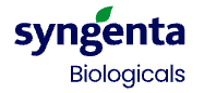 singenta